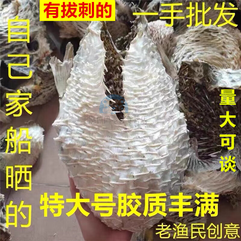 芬氏特大号海刺猬刺龟皮刺豚皮刺龟鱼皮海胆皮海产干货 3-5个250克