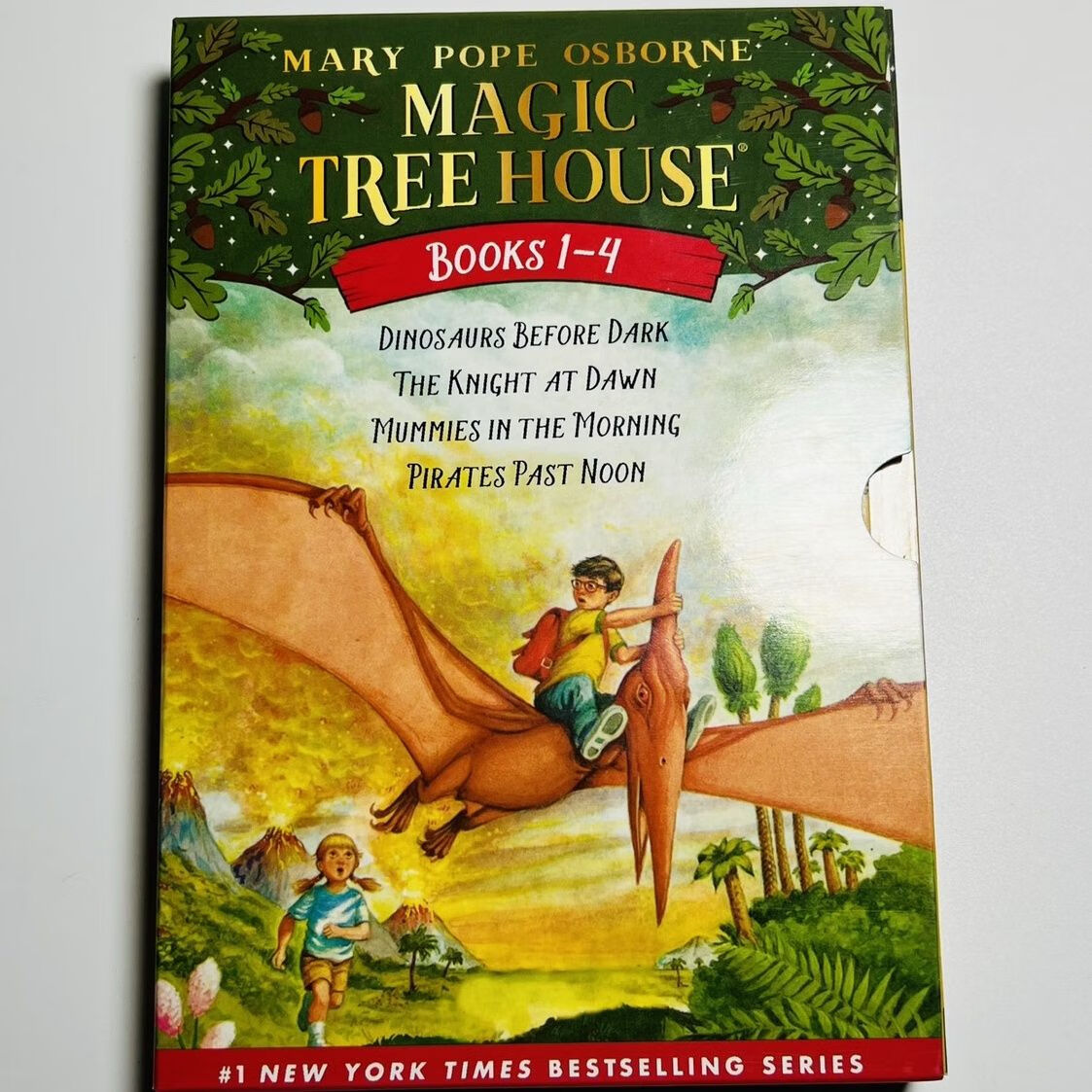点读版神奇树屋1-4册盒装 英文 magic tree house4本送音频