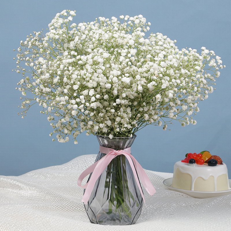 看干花历史价格网站|干花价格走势