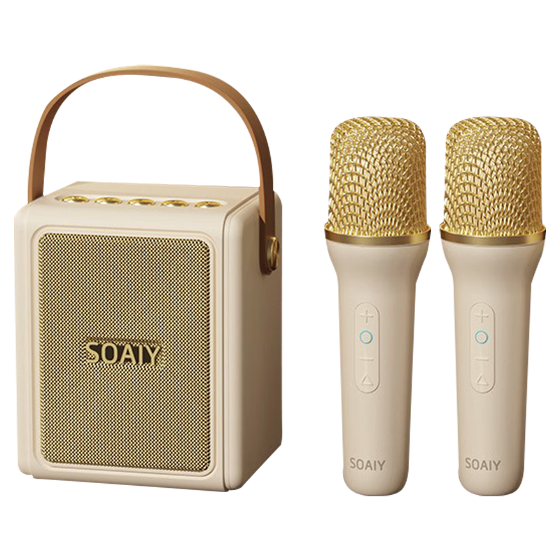 索爱（soaiy）话筒音响一体自带声卡家庭ktv音响套装无线蓝牙音箱唱歌神器一体机儿童娱乐随机发货双麦 礼物