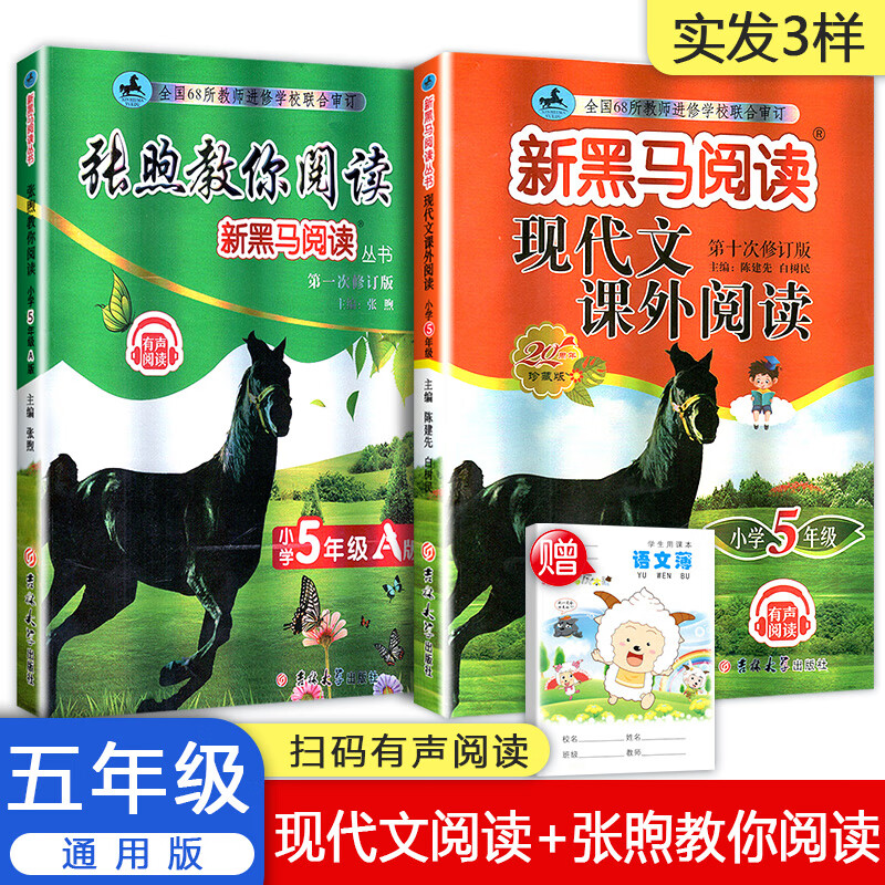 新版黑马阅读+张煦教你阅读A版  现代文课外阅读共2本 五5年级上下册通用小学生课外阅读训练复习写作 【共2本】新黑马阅读+张煦教你阅读A版 小学五年级