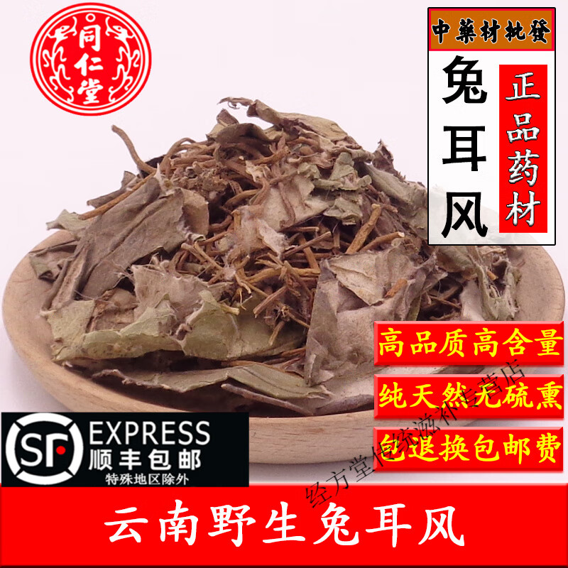 高品质中药材兔儿风草500克 杏香兔儿风 金边兔耳风草 一柱香马蹄草