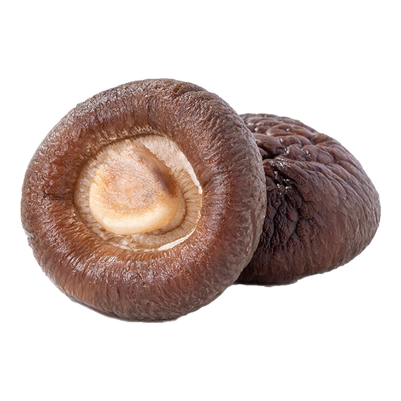 小香菇 山珍菌菇蘑菇 云南特产 煲汤烹饪火锅食材 小香菇50g 无干燥剂