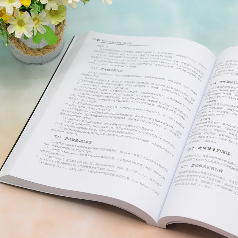 MATLAB优化算法（第2版）（科学与工程计算技术丛书）详情图