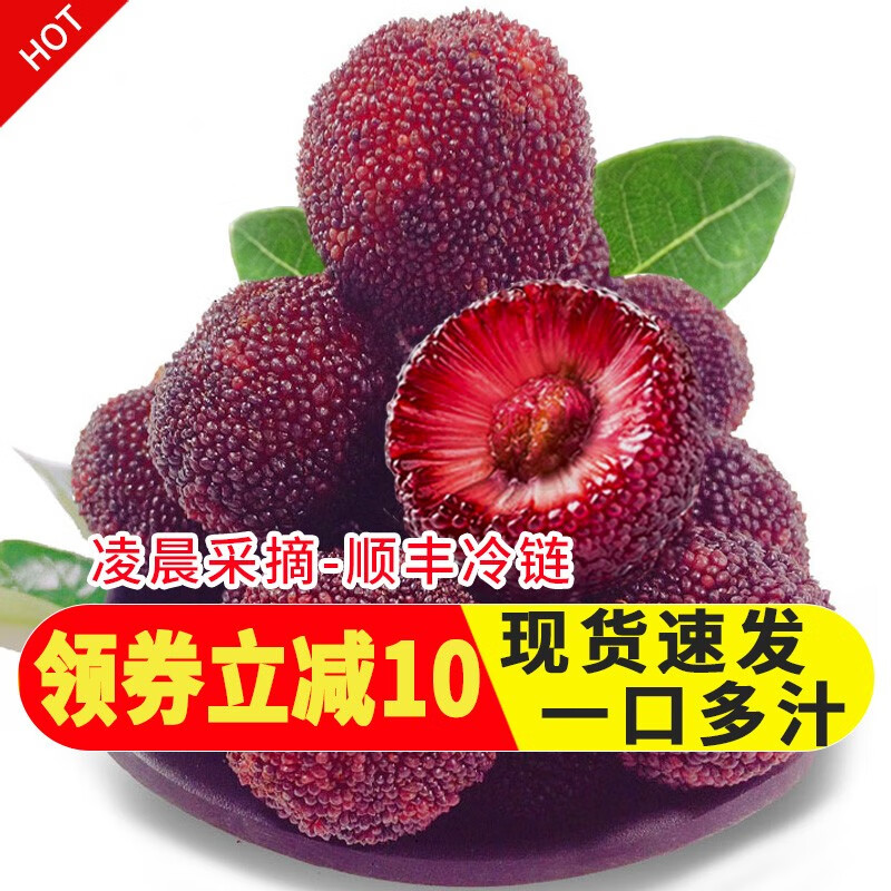 手机查杨梅京东历史价格|杨梅价格走势