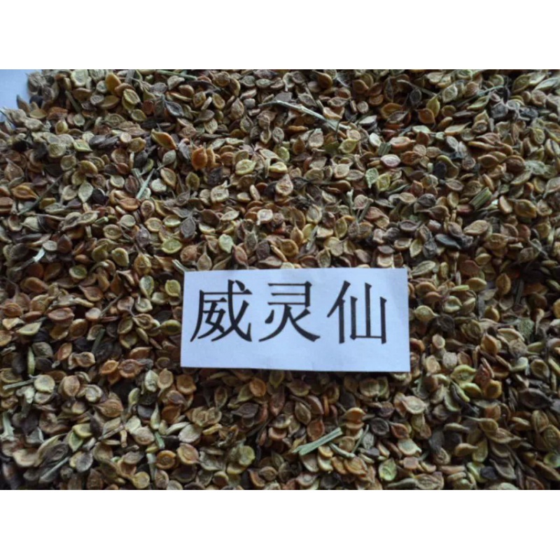 威灵仙种子野生 铁脚威灵仙 铁角灵仙 铁耙头 铁脚铁线莲种籽 二两