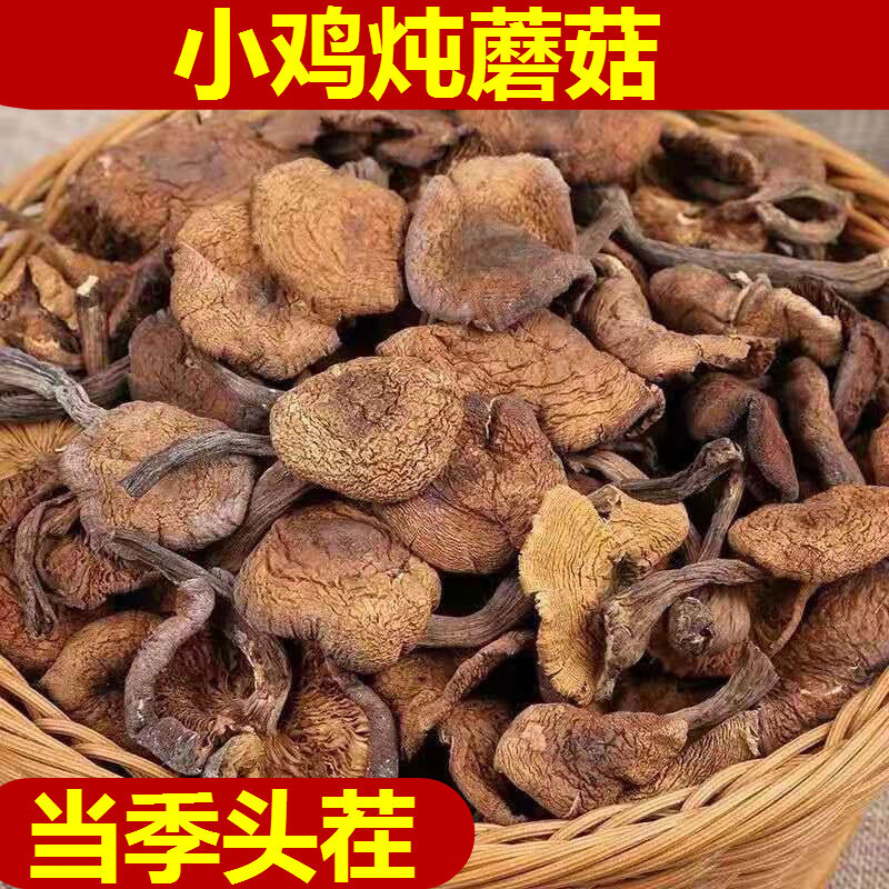 渝美滋东北榛蘑干货野生蘑菇新鲜野山菌特级小鸡炖蘑菇的臻磨500g