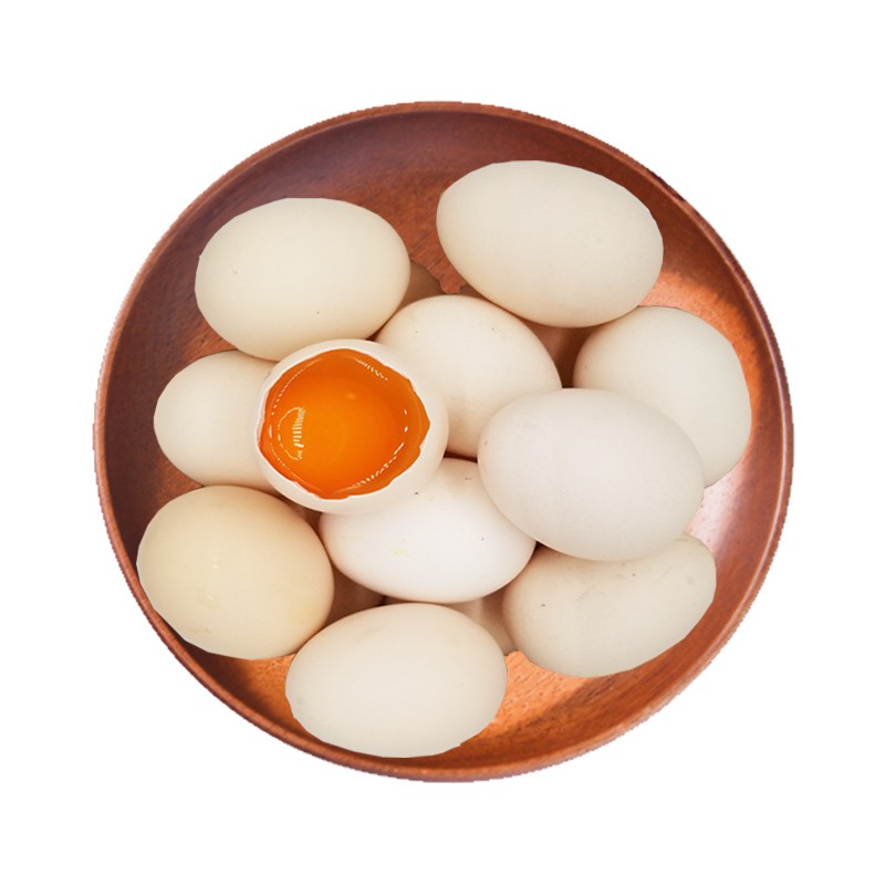 海龙康 新鲜现捡土鸡蛋谷物柴鸡蛋 笨鸡蛋生鲜 土鸡蛋 节日送礼 40枚