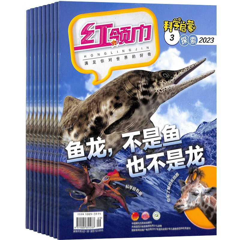 【【杂志预计10月发货】红领巾探索版杂志