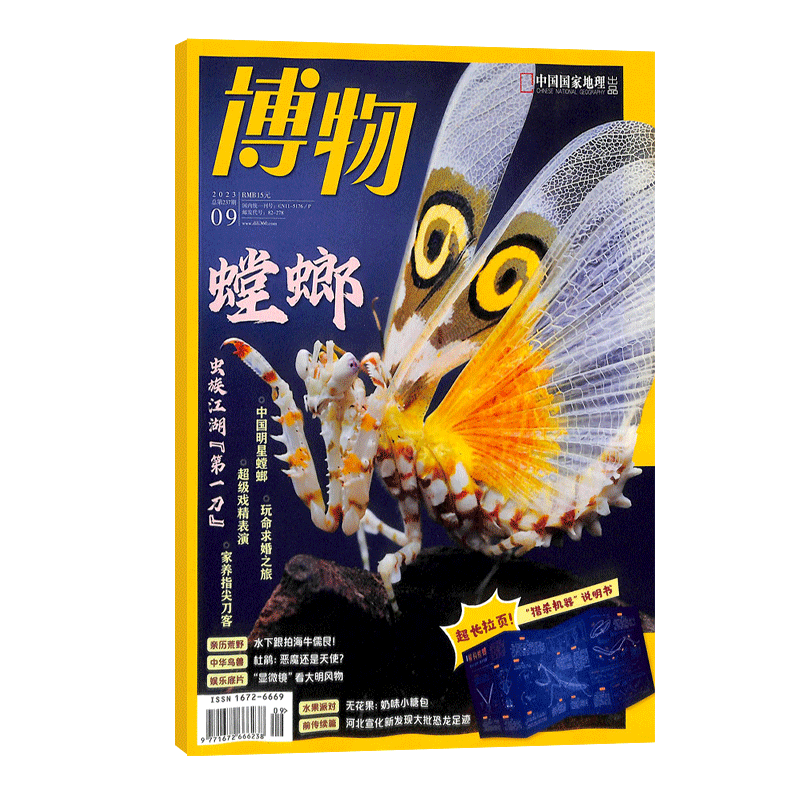 生活休闲商品报价走势|杂志铺专线推荐
