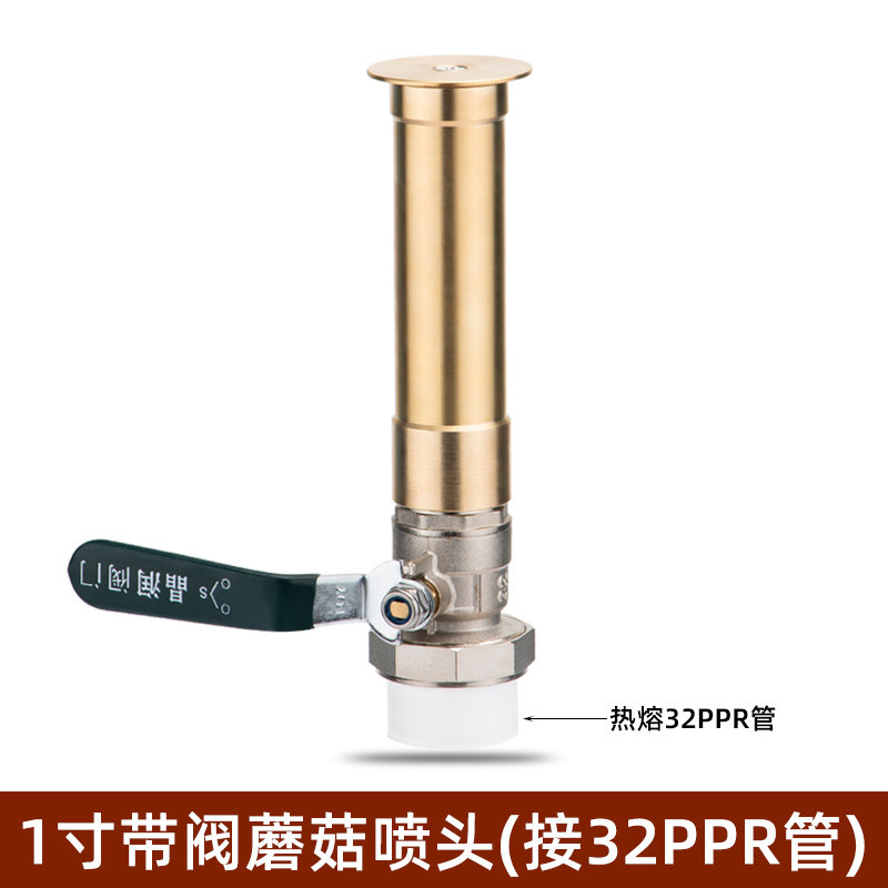 1寸带阀蘑菇喷头 32mmppr管
