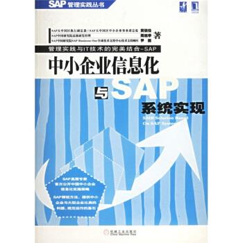 中小企业信息化与SAP系统实现