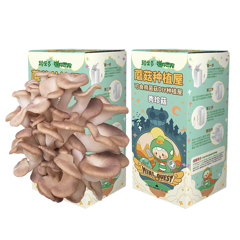 匠心绽放秀珍菇 蘑菇种植包 迷你X可食用包棒种新鲜儿童种植蘑菇