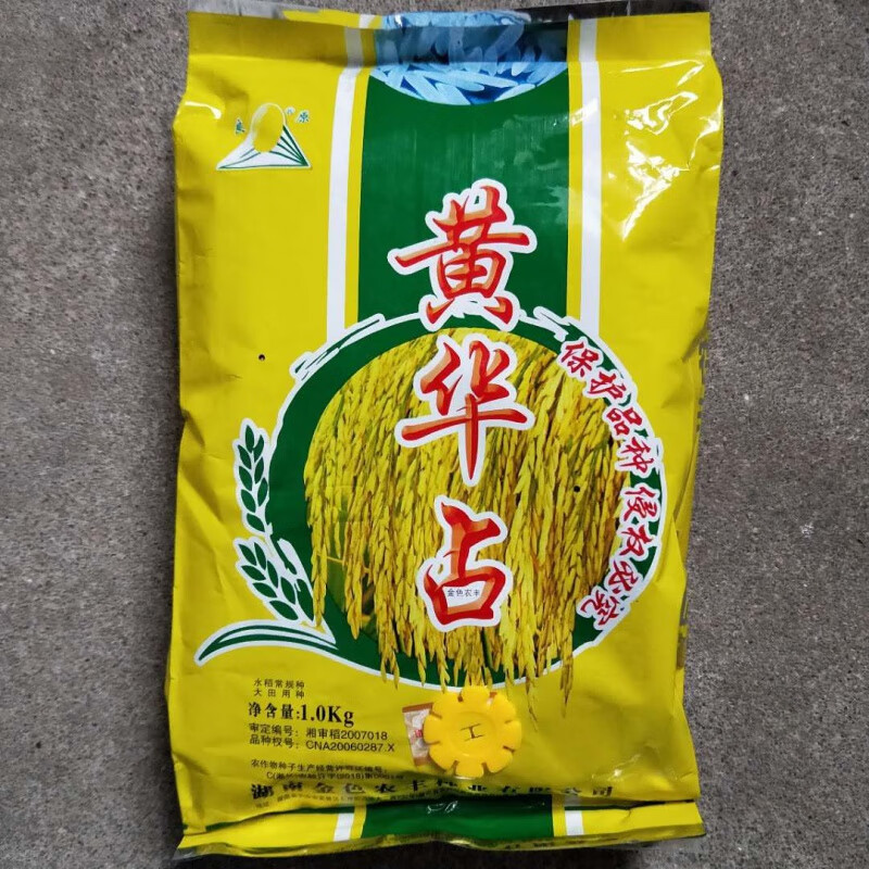 黄华占水稻旱稻种子高产谷种双季旱稻水稻谷种大田种植常规种 黄华占