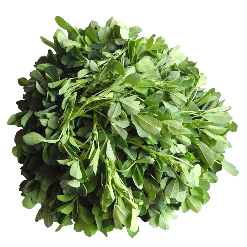 好客花乡紫花苜蓿草种子食用苜蓿菜孑多年生四季牧草种籽鸡鸭鹅牛猪羊饲料紫花苜蓿500克 虎窝购 好客花乡紫花苜蓿草种子食用苜蓿菜孑多年生四季牧草种籽鸡鸭鹅牛猪羊饲料紫花苜蓿500克 虎窝购