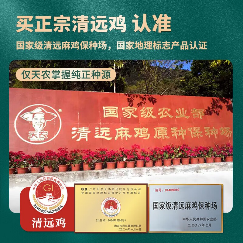 天农 定养168原种清远鸡 2斤 供港整鸡肉生鲜 生态散养土鸡走地鸡 168天原种清远鸡2斤*2只