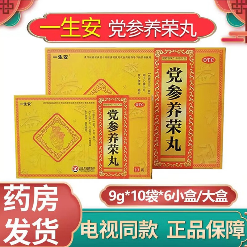 一生安 党参养荣丸文馨教授益气补血养心安神气血两亏乏力药房9克*10