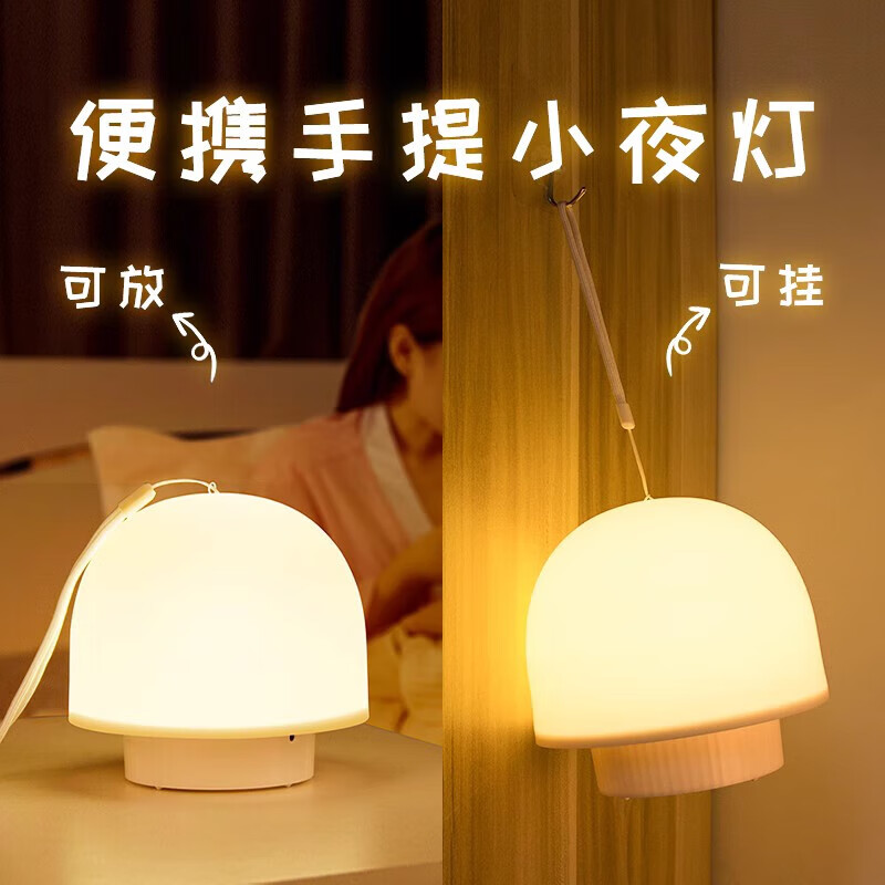 琇狮宿舍床上挂灯床上灯悬挂床帘内灯上铺灯用灯寝室小夜灯蚊帐内用灯 充电遥控款三色光【1600毫安】