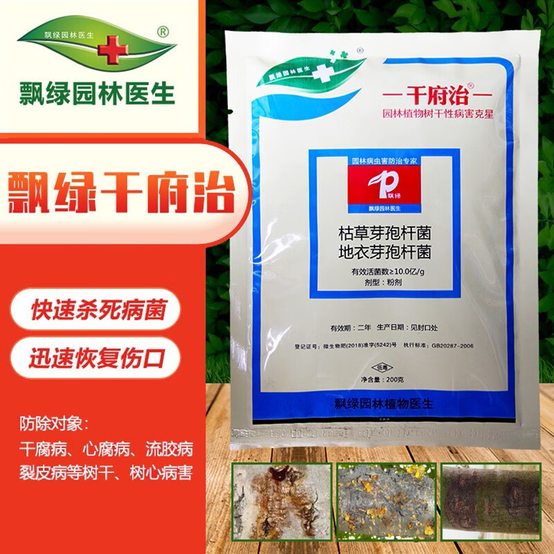 飘绿园林医生飘绿园林干府治防治园林树木桃树果树干腐病海枣心腐病流