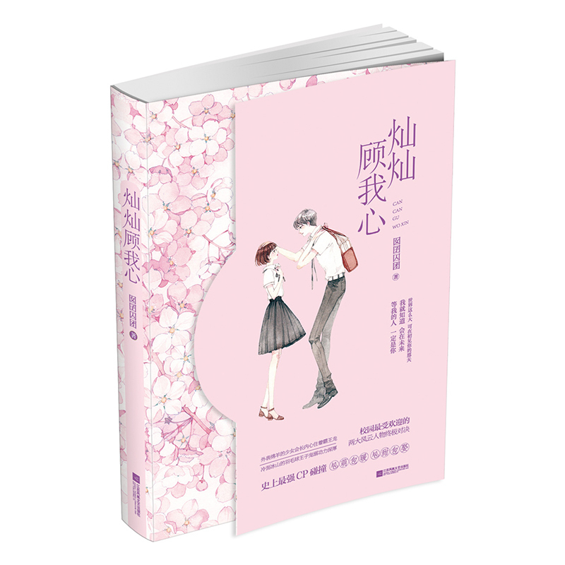 随机赠手账贴纸+千纸鹤+彩蛋书签灿灿顾我心 囡囝囚团作品 夏七夕工作室花火青春甜宠暖萌校园言情小说书