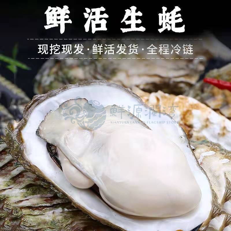 鲜源澜湾   鲜活乳山生蚝牡蛎新鲜大生蚝海蛎子 净重4斤 xl(2-2.