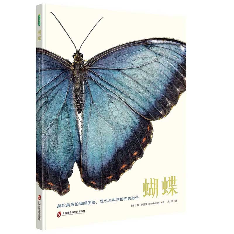 【正版书籍】蝴蝶(科学性与艺术性结合的手绘蝴蝶科普书) 科普/百科