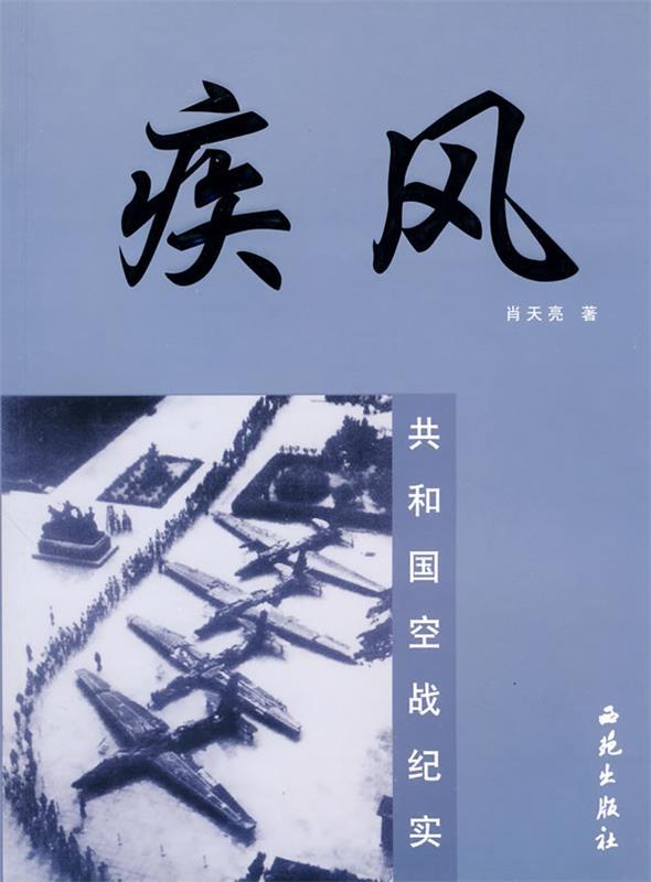 疾风－共和国空战纪实