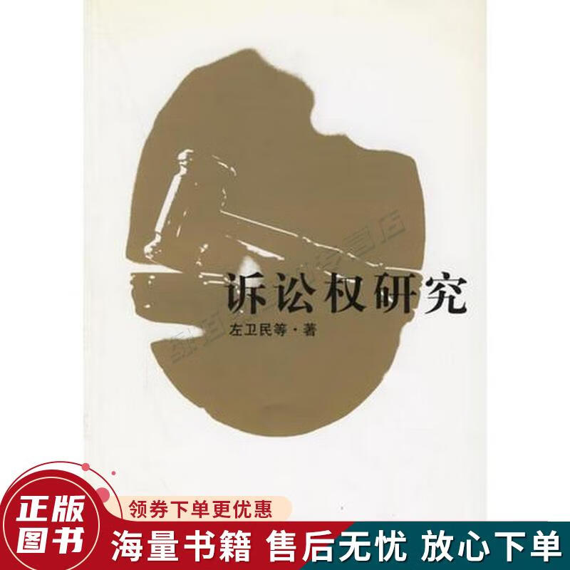 诉讼权研究