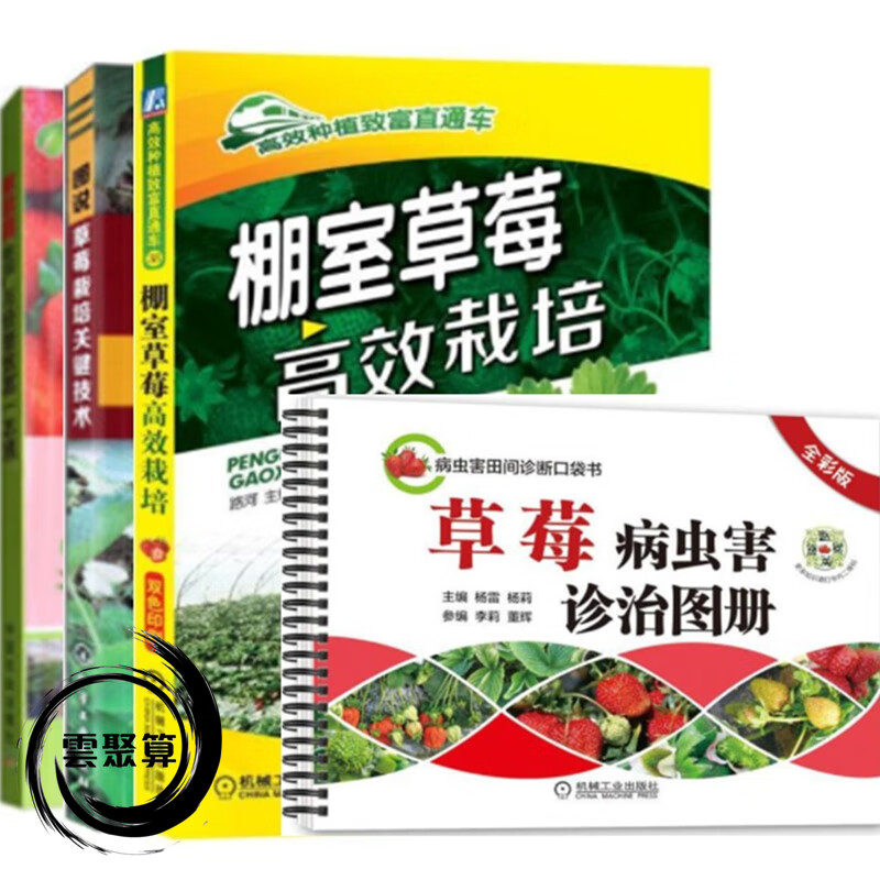 草莓园生产与经营+棚室草莓高效栽培+病虫害诊治+草莓栽培关键技术 有机草莓无土栽培技术大棚草莓种植技