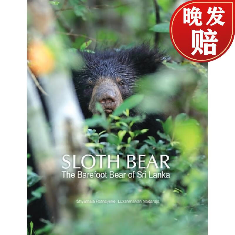 【4周达】sloth bear: the barefoot bear of sri lanka