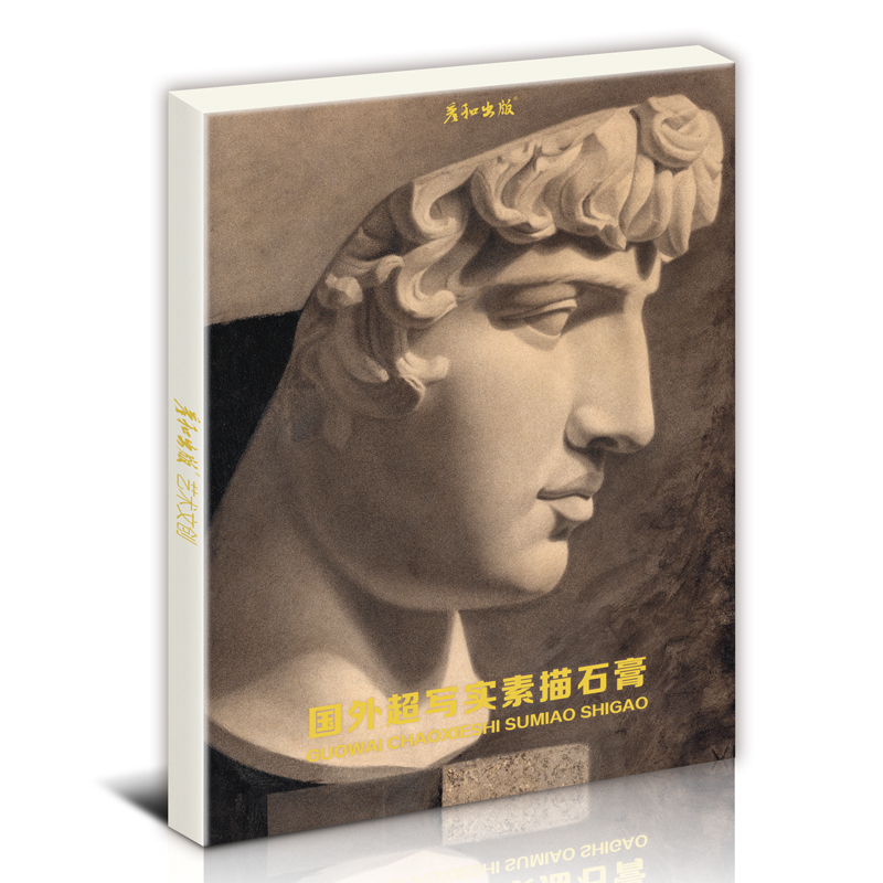 国外超写实素描石膏像艺术人物头像五官几何体切面挂像面像美术生复古