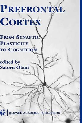 预订prefrontal cortex: from synaptic plasticity to c