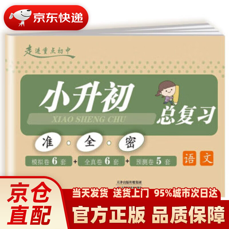小升初总复习测试卷 语文（全套模拟试卷必刷题总复习同步练习