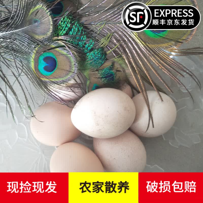 宛味宝[商南助农馆]新鲜孔雀蛋食用蛋蛋高蛋白蛋月子蛋 礼盒 6枚 100g