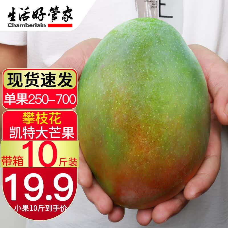 生活＆好管家四川凯特芒果新鲜水果芒果应季现摘整箱 中果5斤(250-300g/个)怎么样,好用不?