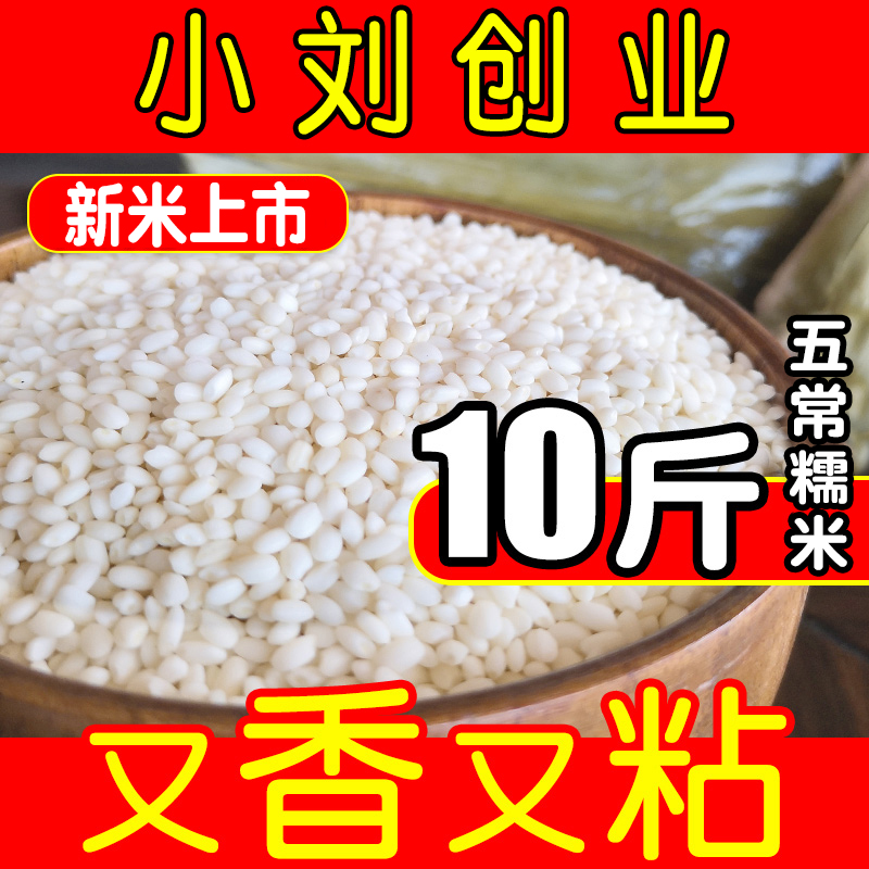 五折小刘创业新米东北圆糯米10斤农家新鲜优质香白江米糯米粽子非5斤