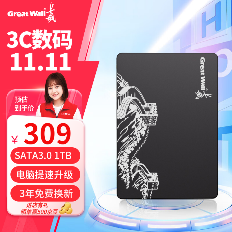 长城（Great Wall）SSD固态硬盘 SATA3.0接口 台式机笔记本电脑通用硬盘 S300系列 1TB SATA3.0固态硬盘