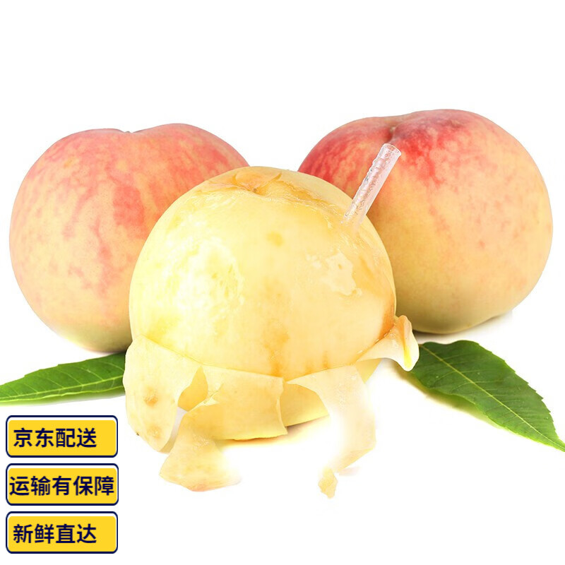 桃历史价格数据|桃价格走势