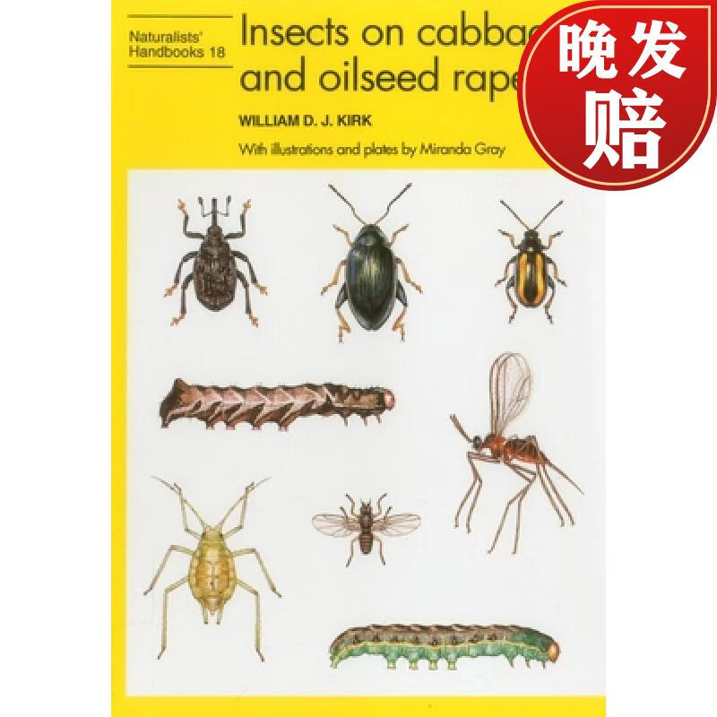 【4周达】insects on cabbages and oilseed rape