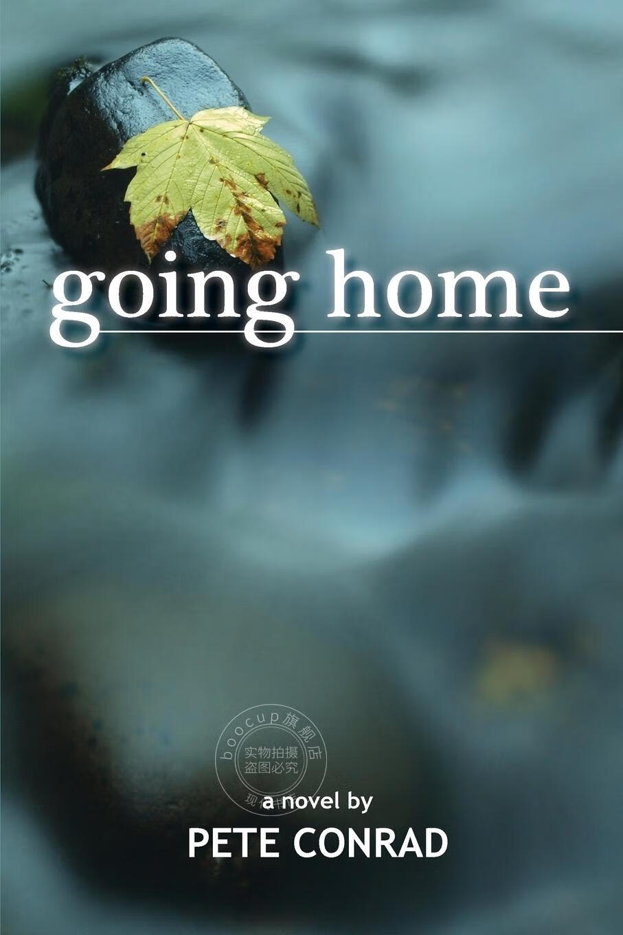 【2周达】【预售 按需印刷】going home