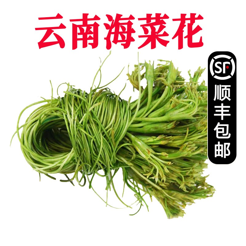 【顺丰】洱海特产水性杨花 海菜花 云南大理特产海白菜 新鲜蔬菜 2斤