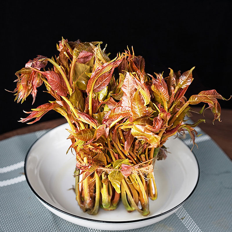 金百粟2026年新鲜头茬香椿芽野菜红绿油香椿叶野生现采香椿蔬菜现摘 0.5斤香椿-顺丰到家