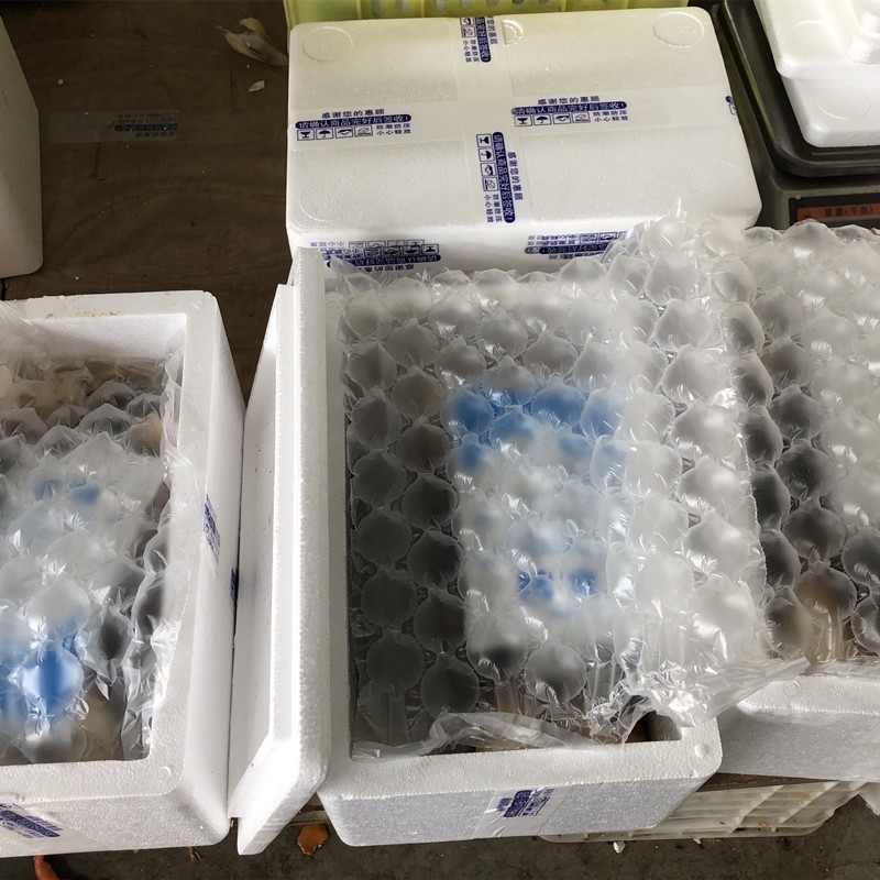 娇娇家的果园四川春笋蒲江雷笋新鲜现挖鲜竹笋现挖蔬菜加冰袋去老头发货 圆通四川雷笋5斤12到25根