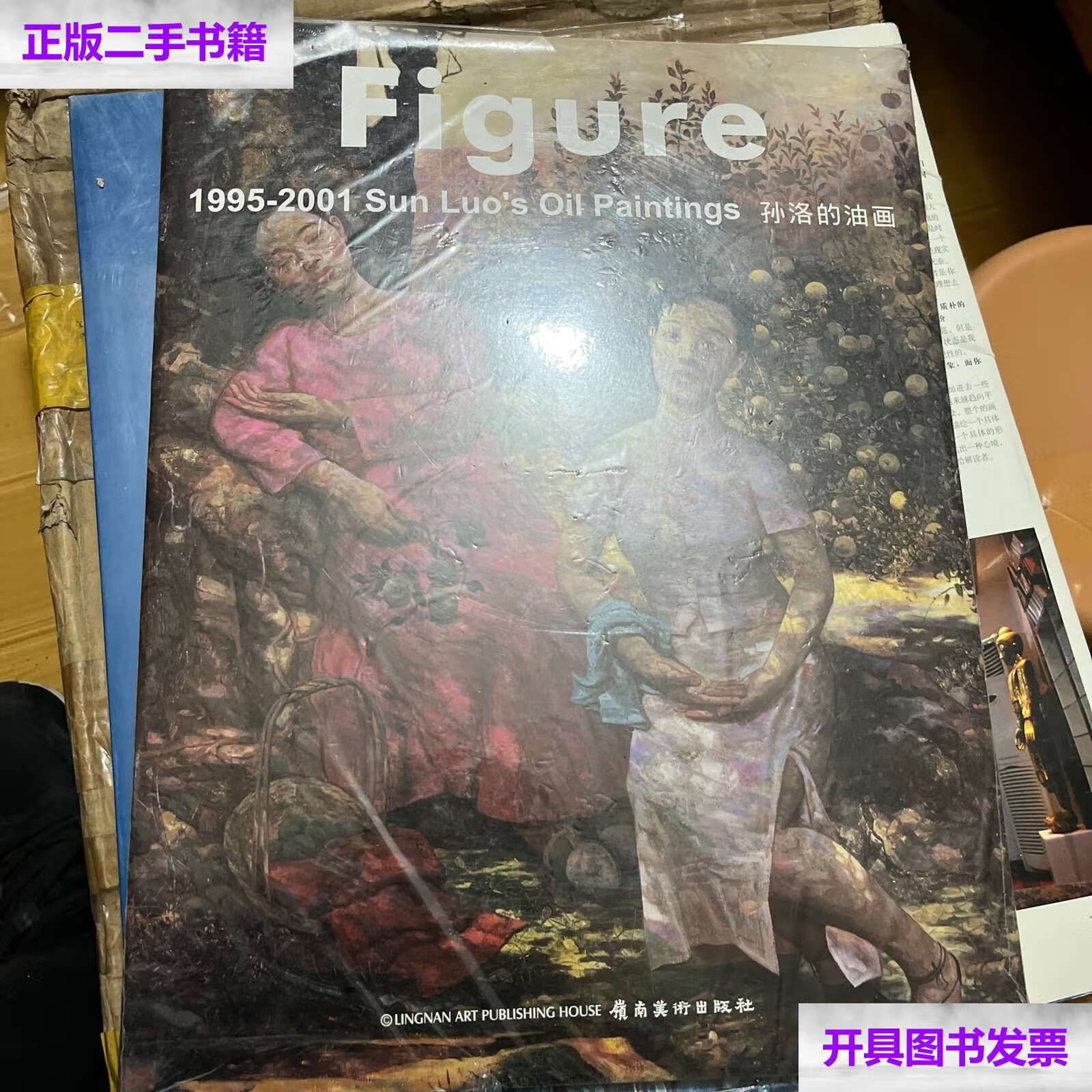 【二手9成新】孙洛的油画1995-2001 () /孙洛 岭南美术
