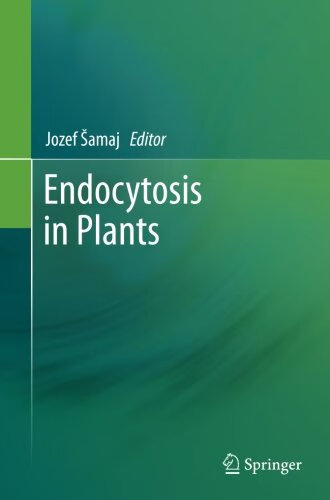 Endocytosis in Plant