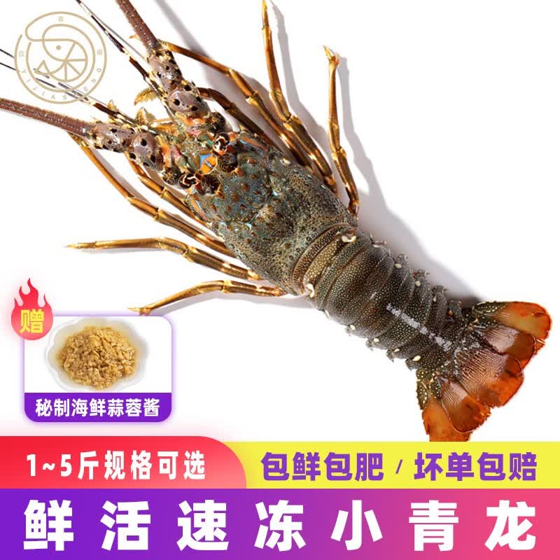 大龙虾 相关京东优惠商品排行榜 8 价格图片品牌优惠券 虎窝购