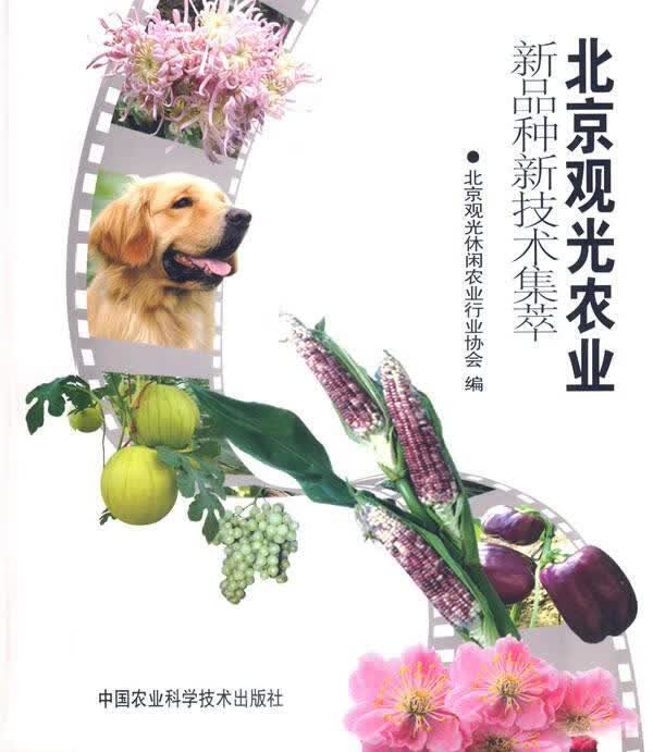 北京观光农业新品种新技术集萃