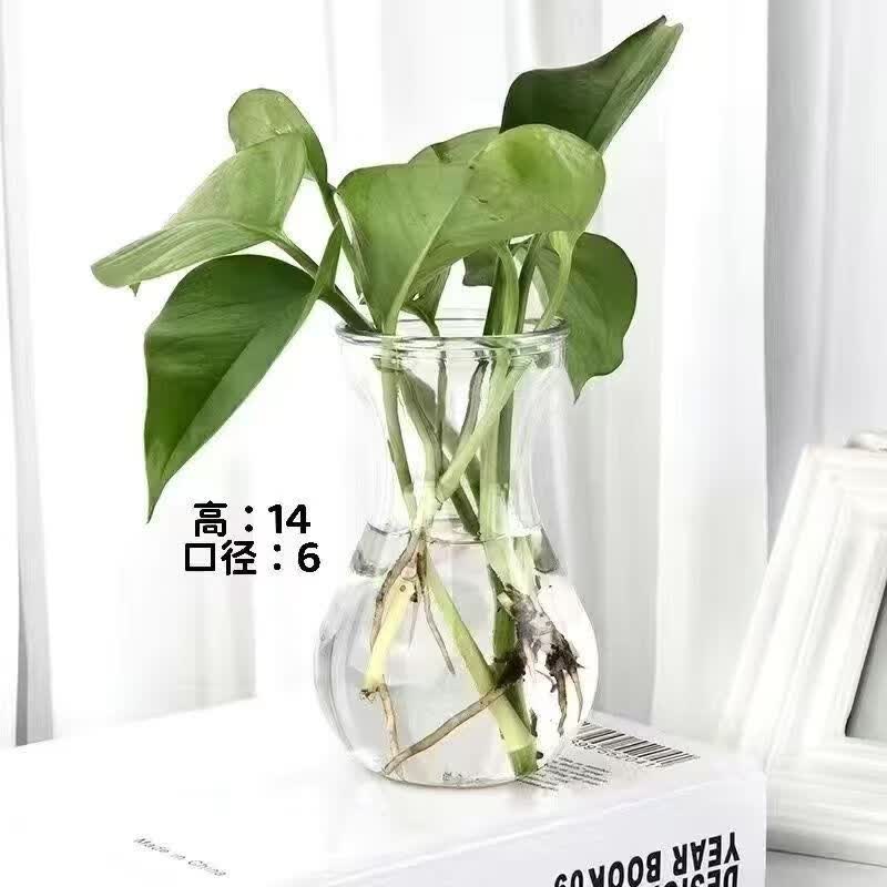 简约风小口花瓶玻璃花瓶鲜花干花水养花瓶办公室客厅家居装饰摆件 风信子 -