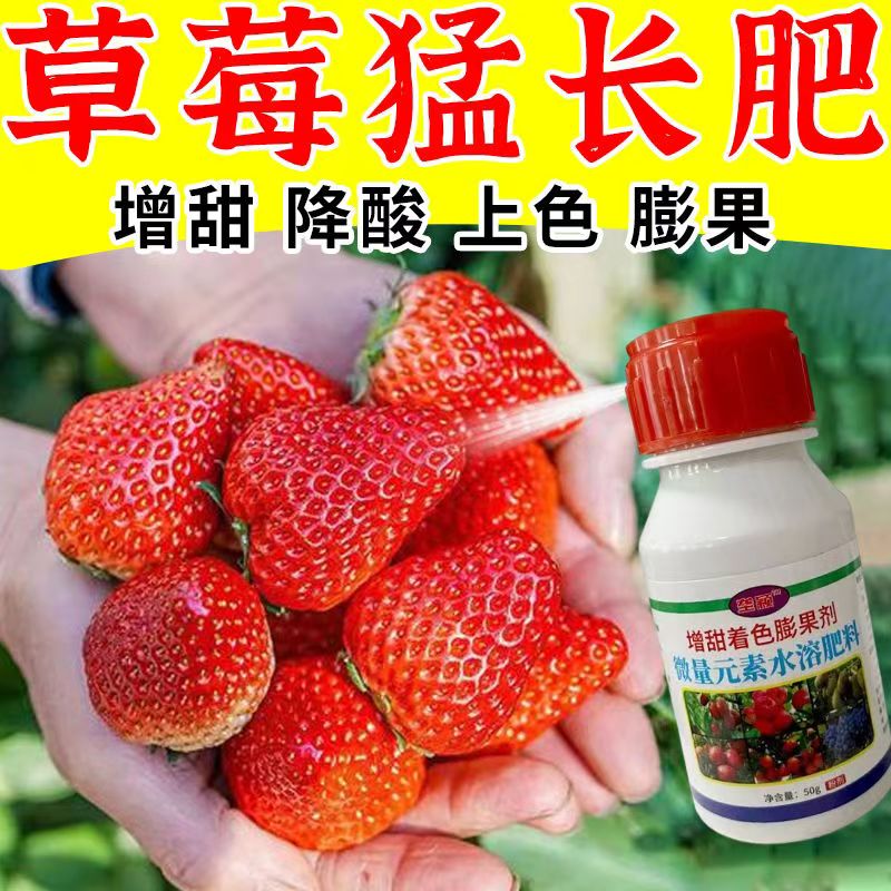 草莓肥料专用肥增产增收壮根膨果草莓专用甜蜜素着色增甜剂膨大剂