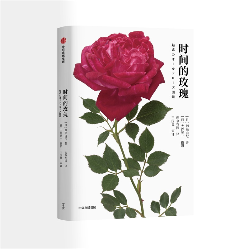 时间的玫瑰